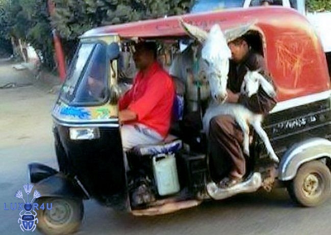 tuk tuk