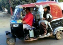 tuk tuk