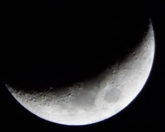 4th day moon