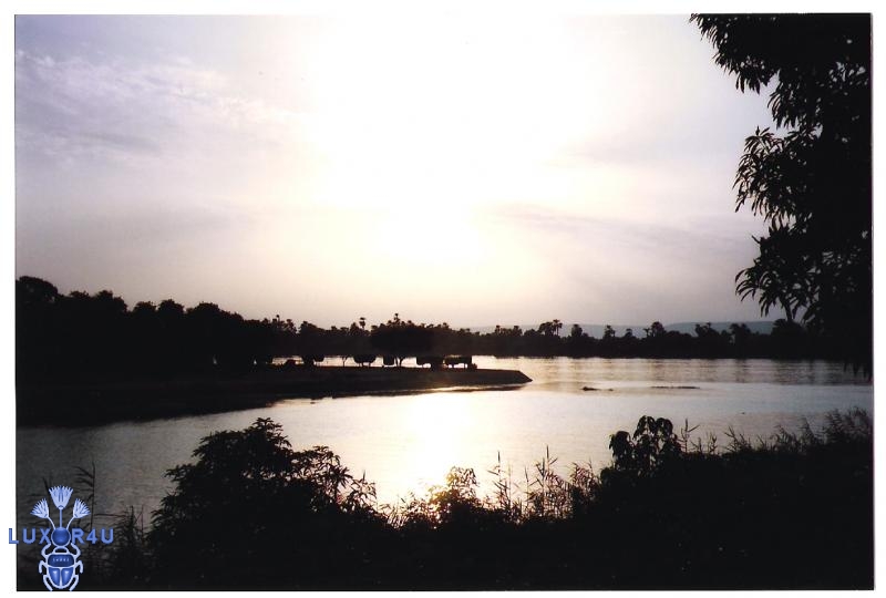 From Banana Island