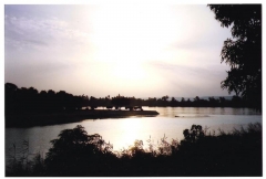 From Banana Island