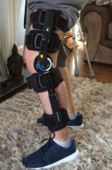robotic