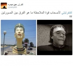 84081316 nefritit3