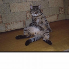 BARU