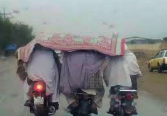 Rain