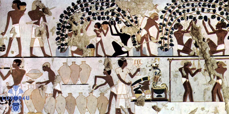 egypt-wine-labels-inside