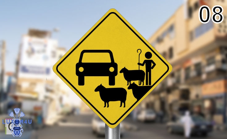 Street Signs Egypt Needs 08