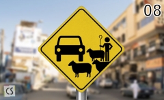 Street Signs Egypt Needs 08