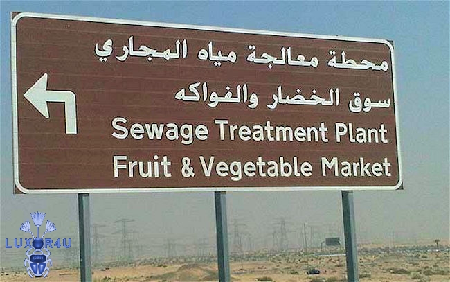appetising
