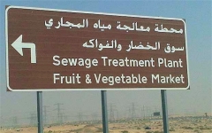 appetising