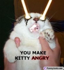 Super Angry Kitty!