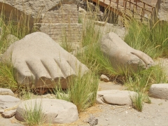Feet