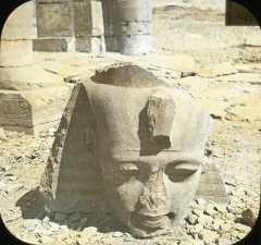 Head of Ramesses II circa 1900