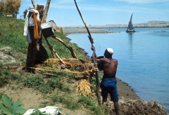 Shaduf 1965