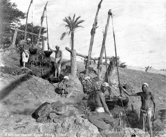 shadufs 1860