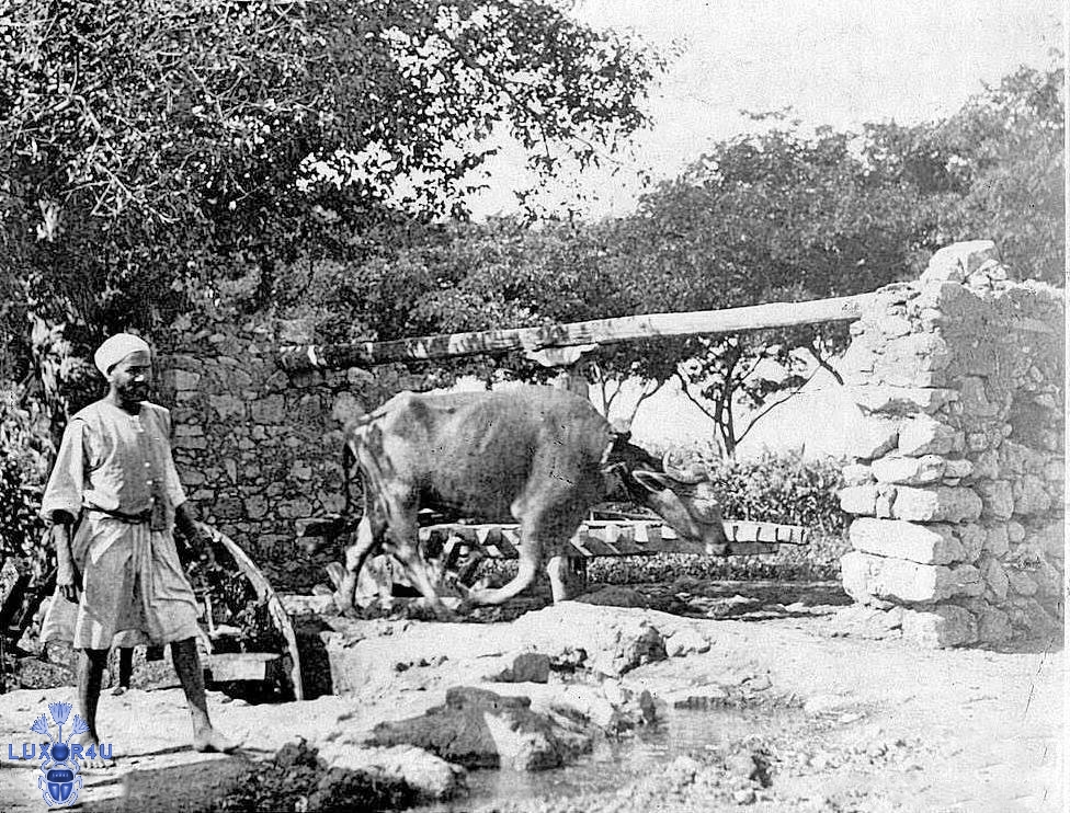 water wheel 1908