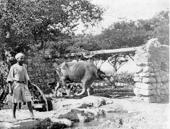 water wheel 1908
