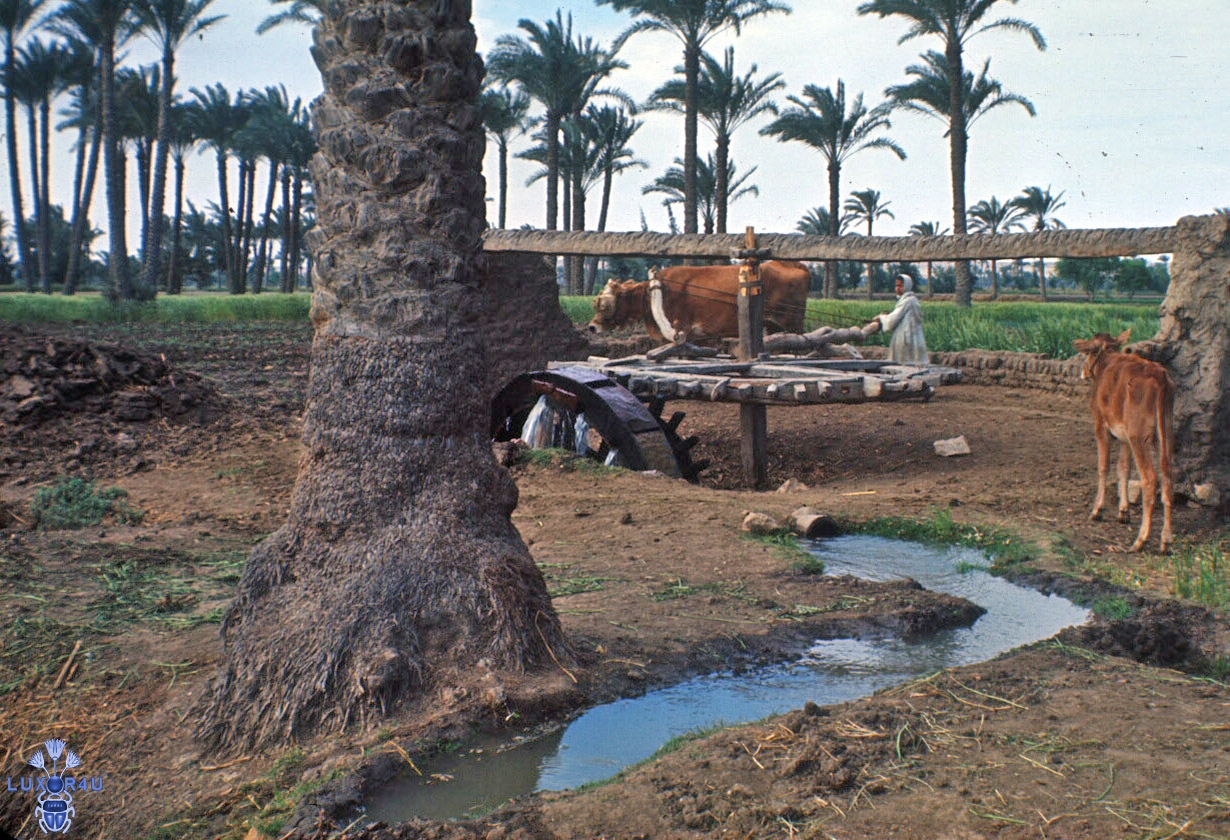 water wheel 1965