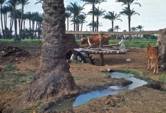water wheel 1965