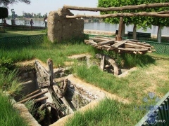 Water Wheel Crocodile (Kings) Island