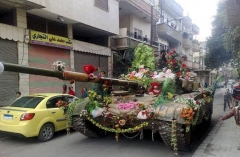 Tank in Bloom