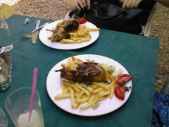 Stuffed Pidgeon