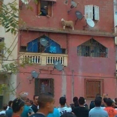 I ain't coming down till the end of Eid