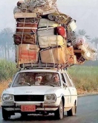 why women live longer then men 7