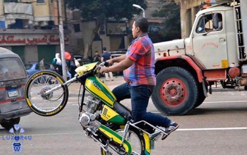 why women live longer then men 8