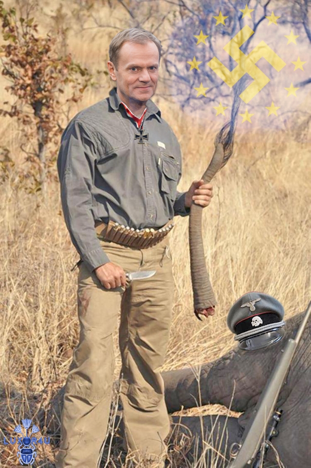 Nazi Tusk