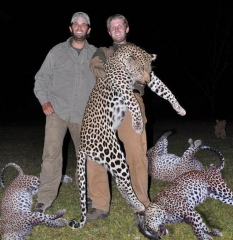 Dead Leopards