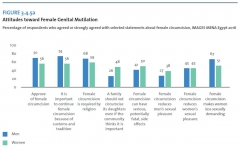 genital mutilation-chart