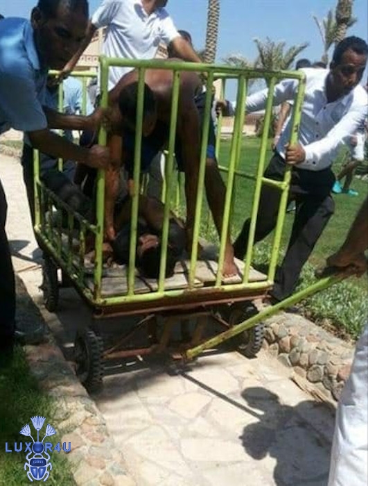 Two tourists killed in Egypt