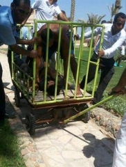 Two tourists killed in Egypt