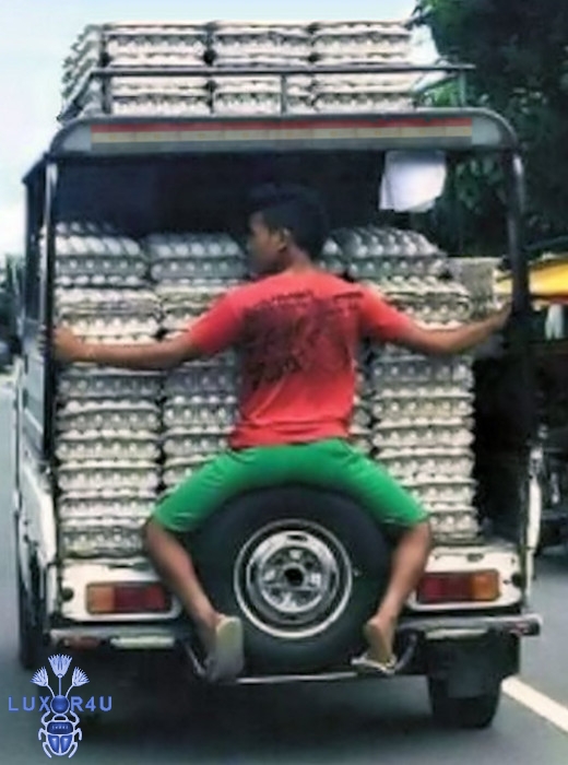egg catcher
