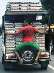 egg catcher