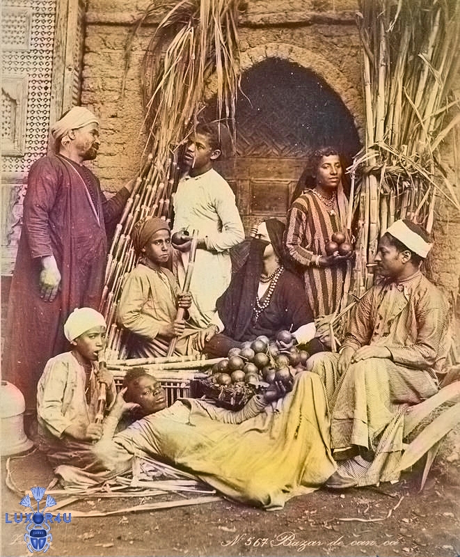 Egyptian Group