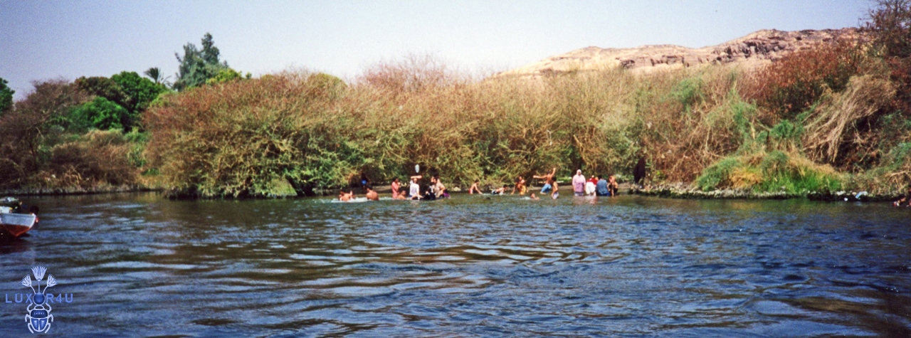 swim 2