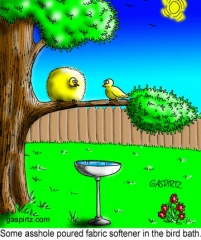 Bad feather day