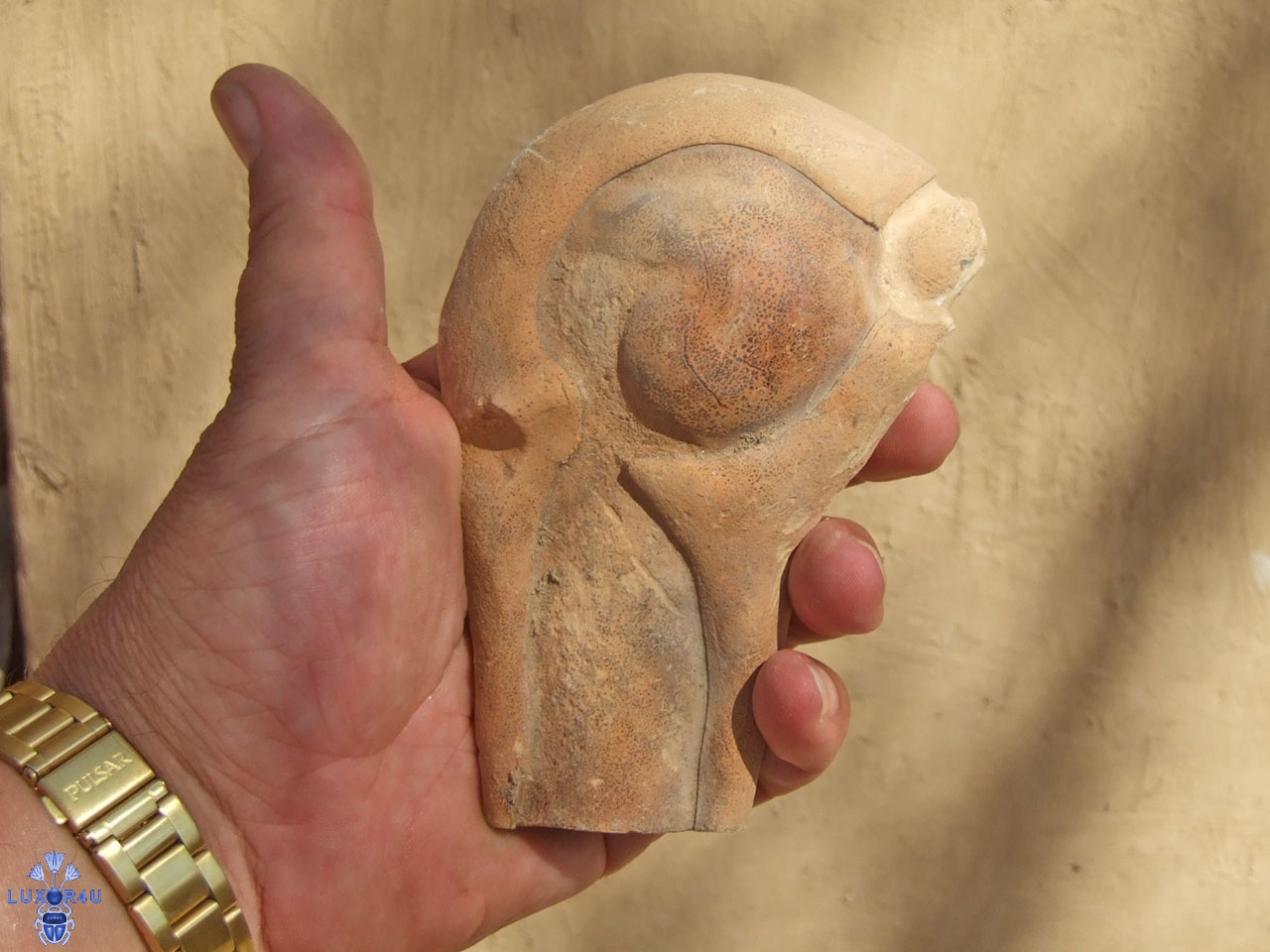 Fossil-2