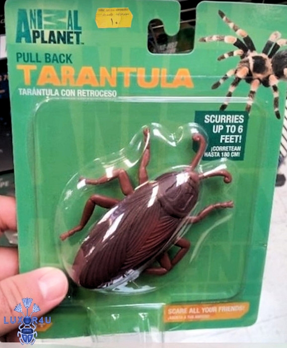 Tarantula