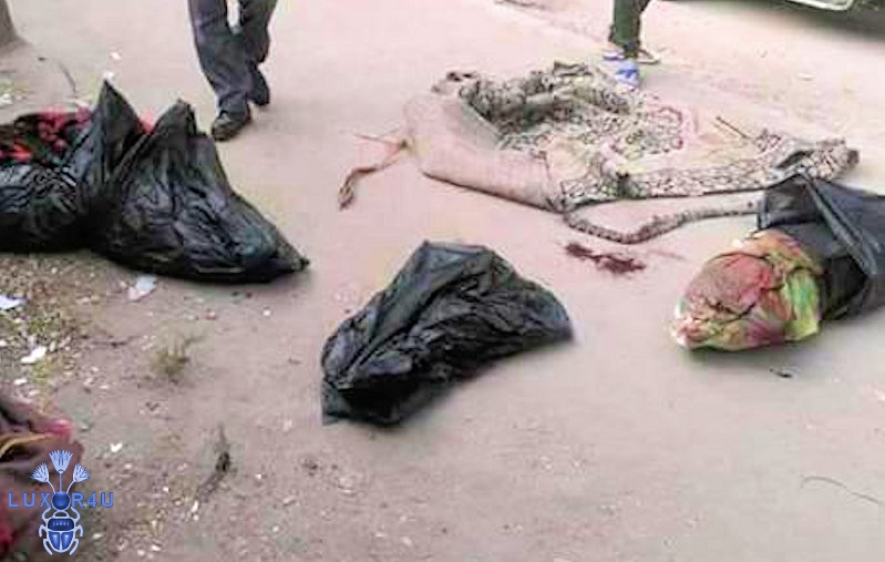 Bodies of 3 children Egypt