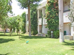 Garden-rooms