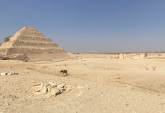 Saqqara 2018