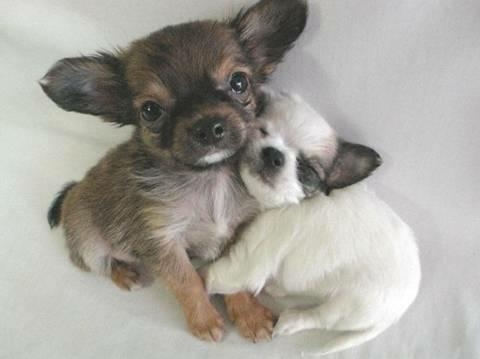 Cute Pic 2