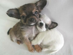 Cute Pic 2