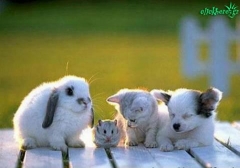 Cute Pic 4