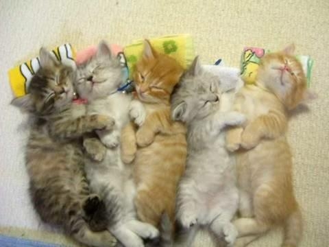 Cute Pic 6