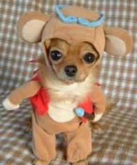 Cute Pic 10