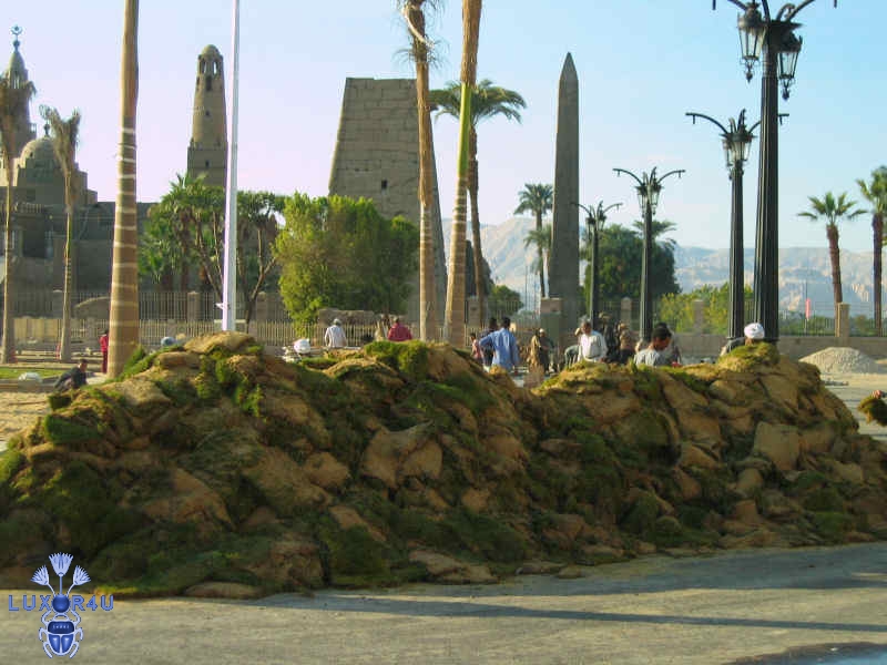 The greening of Luxor 2